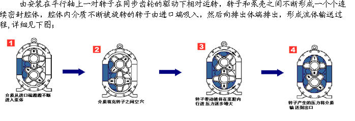 凸轮转子泵2